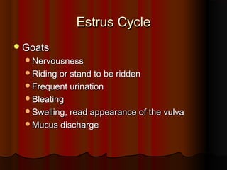 Estrus CycleEstrus Cycle
GoatsGoats
NervousnessNervousness
Riding or stand to be riddenRiding or stand to be ridden
Frequent urinationFrequent urination
BleatingBleating
Swelling, read appearance of the vulvaSwelling, read appearance of the vulva
Mucus dischargeMucus discharge
 