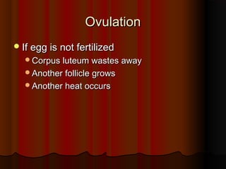 OvulationOvulation
If egg is not fertilizedIf egg is not fertilized
Corpus luteum wastes awayCorpus luteum wastes away
Another follicle growsAnother follicle grows
Another heat occursAnother heat occurs
 