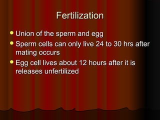 FertilizationFertilization
Union of the sperm and eggUnion of the sperm and egg
Sperm cells can only live 24 to 30 hrs afterSperm cells can only live 24 to 30 hrs after
mating occursmating occurs
Egg cell lives about 12 hours after it isEgg cell lives about 12 hours after it is
releases unfertilizedreleases unfertilized
 