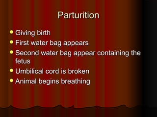 ParturitionParturition
Giving birthGiving birth
First water bag appearsFirst water bag appears
Second water bag appear containing theSecond water bag appear containing the
fetusfetus
Umbilical cord is brokenUmbilical cord is broken
Animal begins breathingAnimal begins breathing
 