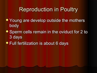 Reproduction in PoultryReproduction in Poultry
Young are develop outside the mothersYoung are develop outside the mothers
bodybody
Sperm cells remain in the oviduct for 2 toSperm cells remain in the oviduct for 2 to
3 days3 days
Full fertilization is about 6 daysFull fertilization is about 6 days
 