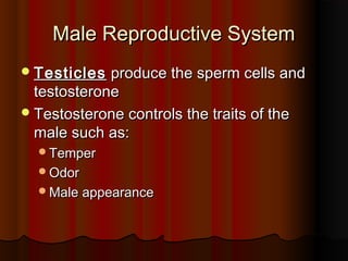 Male Reproductive SystemMale Reproductive System
TesticlesTesticles produce the sperm cells andproduce the sperm cells and
testosteronetestosterone
Testosterone controls the traits of theTestosterone controls the traits of the
male such as:male such as:
TemperTemper
OdorOdor
Male appearanceMale appearance
 