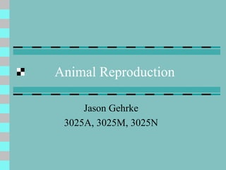 Animal Reproduction
Jason Gehrke
3025A, 3025M, 3025N
 