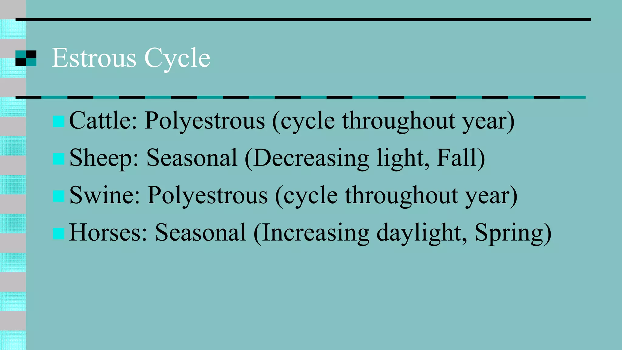 Estrous Cycle
 Cattle: Polyestrous (cycle throughout year)
 Sheep: Seasonal (Decreasing light, Fall)
 Swine: Polyestrous (cycle throughout year)
 Horses: Seasonal (Increasing daylight, Spring)
 