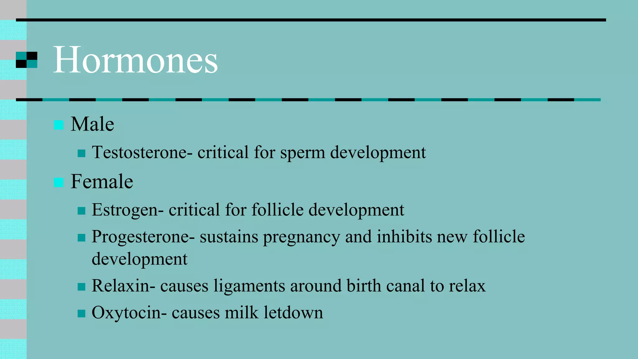 Hormones
 Male
 Testosterone- critical for sperm development
 Female
 Estrogen- critical for follicle development
 Progesterone- sustains pregnancy and inhibits new follicle
development
 Relaxin- causes ligaments around birth canal to relax
 Oxytocin- causes milk letdown
 