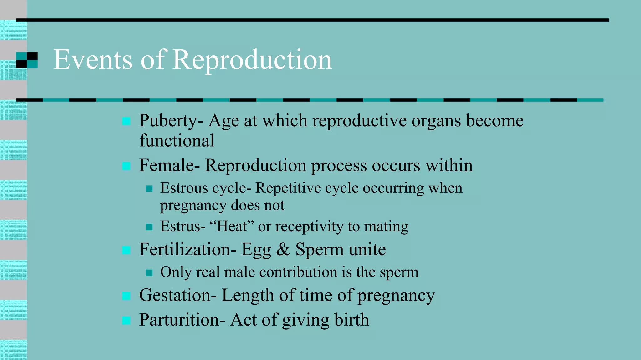 Events of Reproduction
 Puberty- Age at which reproductive organs become
functional
 Female- Reproduction process occurs within
 Estrous cycle- Repetitive cycle occurring when
pregnancy does not
 Estrus- “Heat” or receptivity to mating
 Fertilization- Egg & Sperm unite
 Only real male contribution is the sperm
 Gestation- Length of time of pregnancy
 Parturition- Act of giving birth
 