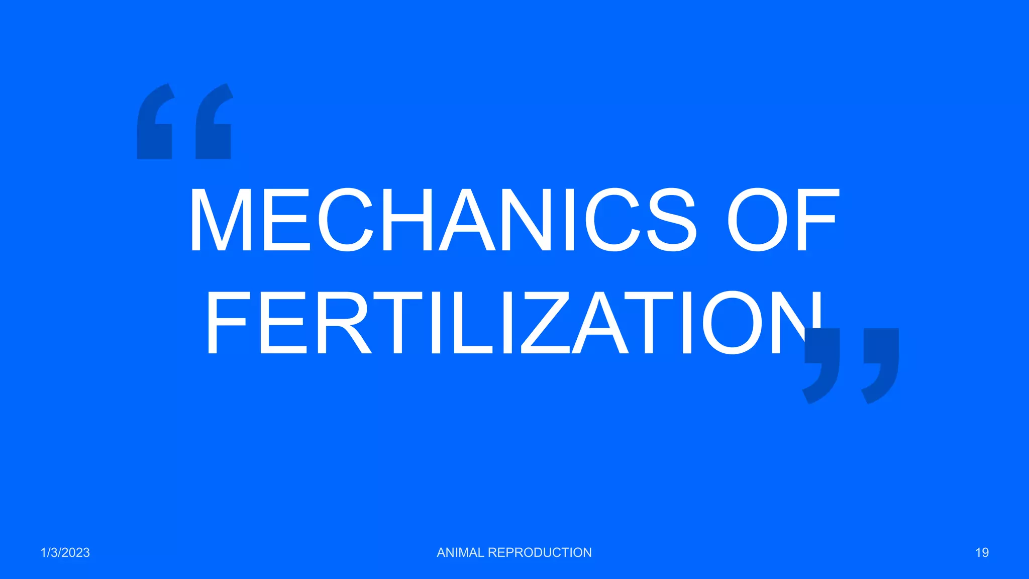 MECHANICS OF
FERTILIZATION
1/3/2023 ANIMAL REPRODUCTION 19
 