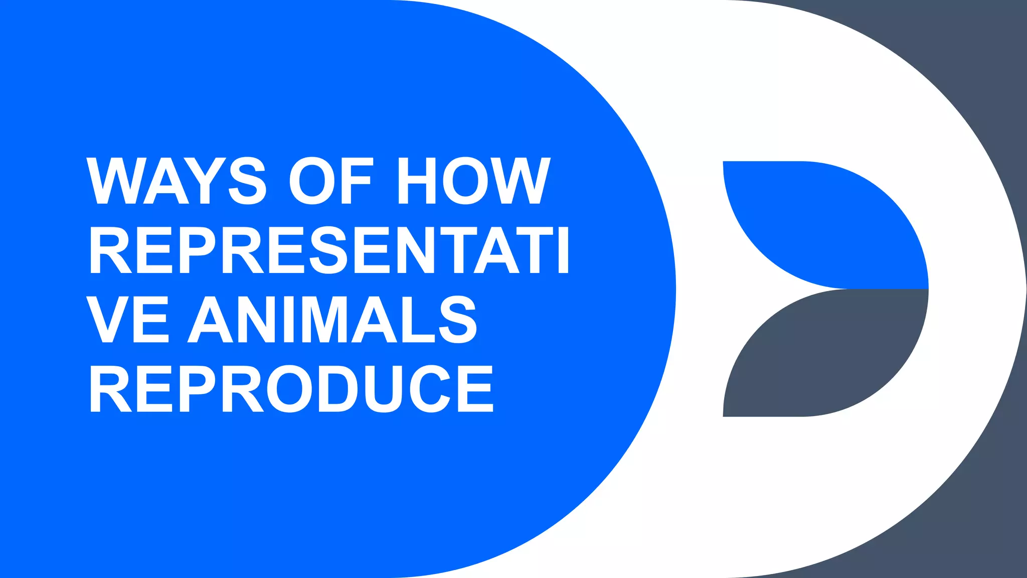 WAYS OF HOW
REPRESENTATI
VE ANIMALS
REPRODUCE
 
