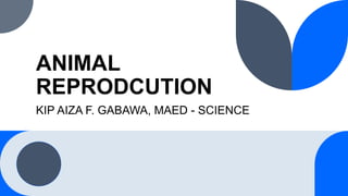 ANIMAL
REPRODCUTION
KIP AIZA F. GABAWA, MAED - SCIENCE
 