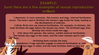 animal reproduction. earth and life pptx | PPTX