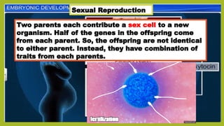 Animal reproduction grade 5 level .pptx