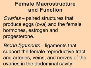 animalreproduction-classpresentationppt-141204081200-conversion-gate02.pdf