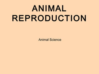 ANIMAL
REPRODUCTION
Animal Science
 
