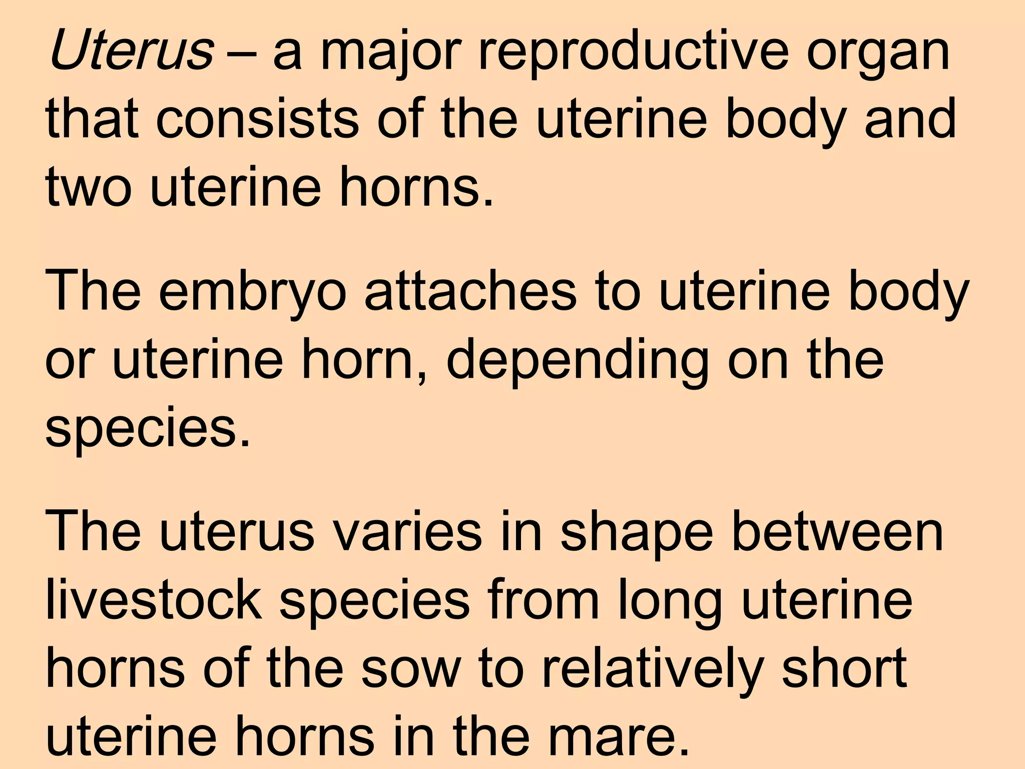 Animal reproduction class presentation (ppt) | PPT