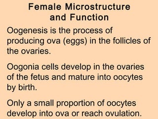 Animal reproduction class presentation (ppt) | PPT