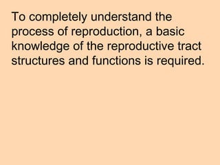 Animal reproduction class presentation (ppt) | PPT