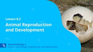 Comprehensive Overview of Animal Reproduction and Development Processes ...