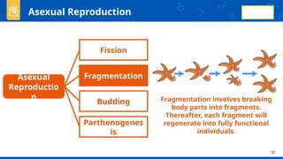 Comprehensive Overview of Animal Reproduction and Development Processes ...