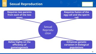 Comprehensive Overview of Animal Reproduction and Development Processes ...