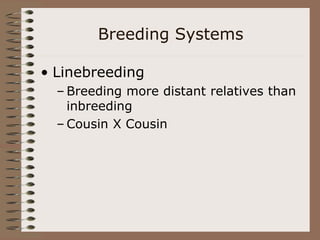 Line Breeding Example AnimalReproductionandGenetics.ppt