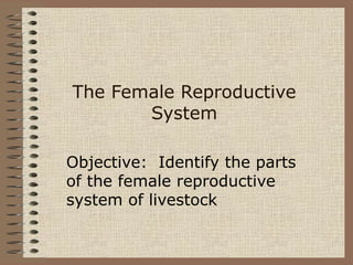 The Female Reproductive
System
Objective: Identify the parts
of the female reproductive
system of livestock
 