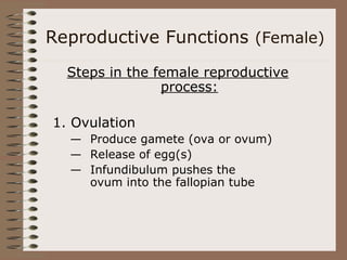 Reproductive Functions (Female)
Steps in the female reproductive
process:
1. Ovulation
— Produce gamete (ova or ovum)
— Release of egg(s)
— Infundibulum pushes the
ovum into the fallopian tube
 