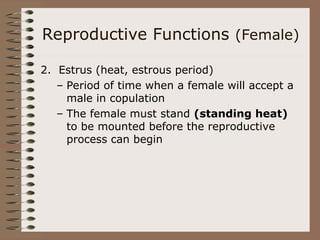 Reproductive Functions (Female)
2. Estrus (heat, estrous period)
– Period of time when a female will accept a
male in copulation
– The female must stand (standing heat)
to be mounted before the reproductive
process can begin
 