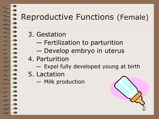 Reproductive Functions (Female)
3. Gestation
— Fertilization to parturition
— Develop embryo in uterus
4. Parturition
— Expel fully developed young at birth
5. Lactation
— Milk production
 