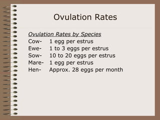 Ovulation Rates
Ovulation Rates by Species
Cow- 1 egg per estrus
Ewe- 1 to 3 eggs per estrus
Sow- 10 to 20 eggs per estrus
Mare- 1 egg per estrus
Hen- Approx. 28 eggs per month
 