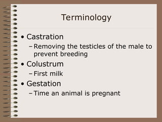 Terminology
• Castration
– Removing the testicles of the male to
prevent breeding
• Colustrum
– First milk
• Gestation
– Time an animal is pregnant
 