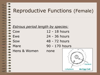 Reproductive Functions (Female)
Estrous period length by species:
Cow 12 - 18 hours
Ewe 24 - 36 hours
Sow 48 - 72 hours
Mare 90 - 170 hours
Hens & Women none
 