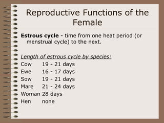 Reproductive Functions of the
Female
Estrous cycle - time from one heat period (or
menstrual cycle) to the next.
Length of estrous cycle by species:
Cow 19 - 21 days
Ewe 16 - 17 days
Sow 19 - 21 days
Mare 21 - 24 days
Woman 28 days
Hen none
 