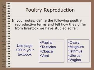 Poultry Reproduction
In your notes, define the following poultry
reproductive terms and tell how they differ
from livestock we have studied so far:
•Papilla
•Testicles
•Cloaca
•Vent
•Ovary
•Magnum
•Isthmus
•Uterus
•Vagina
Use page
190 in your
textbook
 
