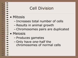 Cell Division
• Mitosis
– Increases total number of cells
– Results in animal growth
– Chromosomes pairs are duplicated
• Meiosis
– Produces gametes
– Only have one-half the
chromosomes of normal cells
 