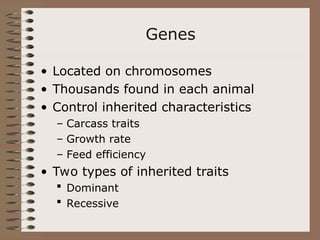 Genes
• Located on chromosomes
• Thousands found in each animal
• Control inherited characteristics
– Carcass traits
– Growth rate
– Feed efficiency
• Two types of inherited traits
 Dominant
 Recessive
 