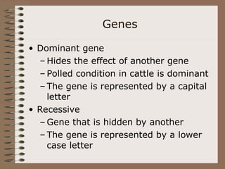 Genes
• Dominant gene
– Hides the effect of another gene
– Polled condition in cattle is dominant
– The gene is represented by a capital
letter
• Recessive
– Gene that is hidden by another
– The gene is represented by a lower
case letter
 