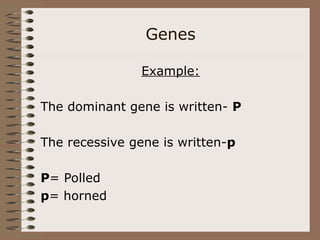 Genes
Example:
The dominant gene is written- P
The recessive gene is written-p
P= Polled
p= horned
 