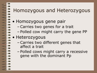 Homozygous and Heterozygous
• Homozygous gene pair
– Carries two genes for a trait
– Polled cow might carry the gene PP
• Heterozygous
– Carries two different genes that
affect a trait
– Polled cows might carry a recessive
gene with the dominant Pp
 