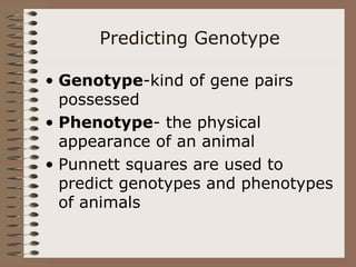 Predicting Genotype
• Genotype-kind of gene pairs
possessed
• Phenotype- the physical
appearance of an animal
• Punnett squares are used to
predict genotypes and phenotypes
of animals
 