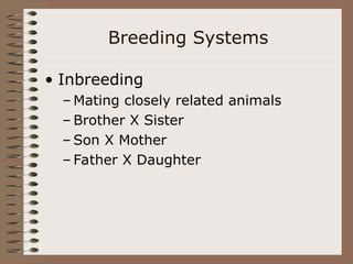 Breeding Systems
• Inbreeding
– Mating closely related animals
– Brother X Sister
– Son X Mother
– Father X Daughter
 