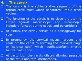  The cervix is the sphincter-like segment of the
reproductive tract which separates uterus from
vagina.
 The function of...