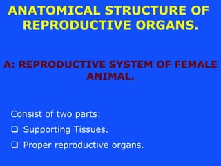 ANATOMICAL STRUCTURE OF
REPRODUCTIVE ORGANS.
A: REPRODUCTIVE SYSTEM OF FEMALE
ANIMAL.
Consist of two parts:
 Supporting T...