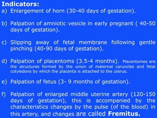 5. Abdominal palpation/Vaginal examination
 Common in bitch and queen for diagnose pregnancy.
 Because the uterus become...
