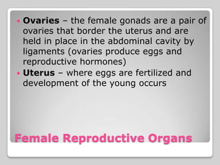  Ovaries – the female gonads are a pair of
  ovaries that border the uterus and are
  held in place in the abdominal cavity by
  ligaments (ovaries produce eggs and
  reproductive hormones)
 Uterus – where eggs are fertilized and
  development of the young occurs




Female Reproductive Organs
 
