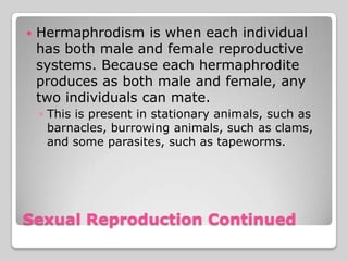    Hermaphrodism is when each individual
    has both male and female reproductive
    systems. Because each hermaphrodite
    produces as both male and female, any
    two individuals can mate.
    ◦ This is present in stationary animals, such as
      barnacles, burrowing animals, such as clams,
      and some parasites, such as tapeworms.




Sexual Reproduction Continued
 