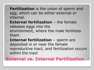  Fertilization is the union of sperm and
  egg, which can be either external or
  internal.
 External fertilization – the female
  releases eggs into the
  environment, where the male fertilizes
  them
 Internal fertilization – sperm are
  deposited in or near the female
  reproductive tract, and fertilization occurs
  within the tract
External vs. Internal Fertilization
 