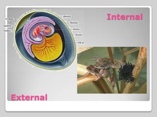 Internal




External
 