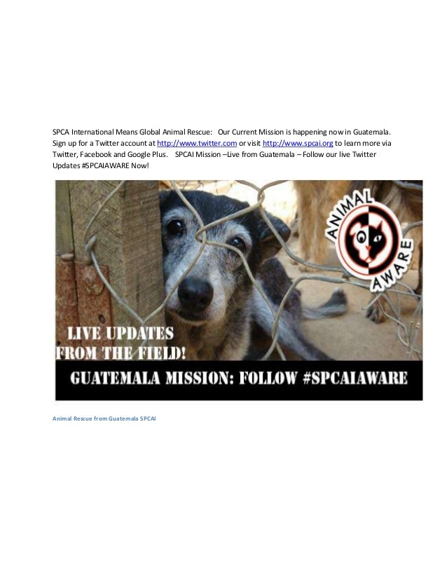 SPCA International Animal Rescue Mission Live SPCAIaware