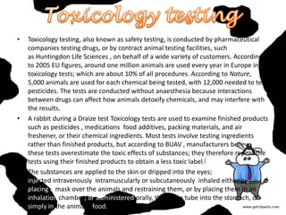 •

•

•

Toxicology testing, also known as safety testing, is conducted by pharmaceutical
companies testing drugs, or by contract animal testing facilities, such
as Huntingdon Life Sciences , on behalf of a wide variety of customers. According
to 2005 EU figures, around one million animals are used every year in Europe in
toxicology tests; which are about 10% of all procedures. According to Nature,
5,000 animals are used for each chemical being tested, with 12,000 needed to test
pesticides. The tests are conducted without anaesthesia because interactions
between drugs can affect how animals detoxify chemicals, and may interfere with
the results.
A rabbit during a Draize test Toxicology tests are used to examine finished products
such as pesticides , medications food additives, packing materials, and air
freshener, or their chemical ingredients. Most tests involve testing ingredients
rather than finished products, but according to BUAV , manufacturers believe
these tests overestimate the toxic effects of substances; they therefore repeat the
tests using their finished products to obtain a less toxic label.[
The substances are applied to the skin or dripped into the eyes;
injected intravenously intramuscularly or subcutaneously inhaled either by
placing a mask over the animals and restraining them, or by placing them in an
inhalation chamber; or administered orally, through a tube into the stomach, or
simply in the animal's food.

 