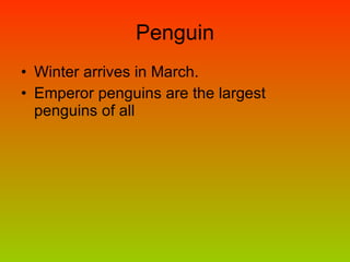 Penguin Winter arrives in March. Emperor penguins are the largest penguins of all  